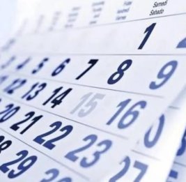На сообщения о коррупции будут отвечать в течение 20 рабочих дней