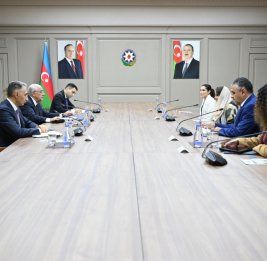 Премьер-министр Али Асадов встретился с генеральным секретарем Организации цифрового сотрудничества