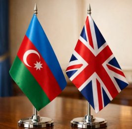 Зеленый вектор партнерства