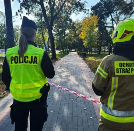 
В Польше задержали подростков после нападений с ножом в школах