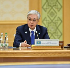 Токаев предупредил об экономических рисках экологического кризиса Каспия