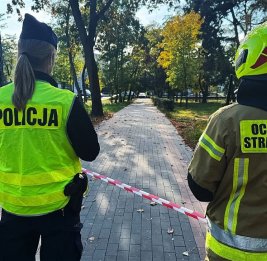 В Польше задержали 76 человек после инцидентов в школах