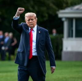 Трамп объявил энергетическое перемирие между РФ и Украиной