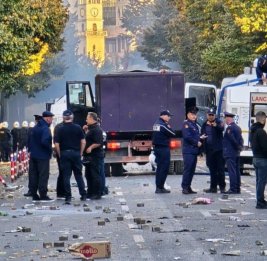 &laquo;Революция фламинго&raquo;
