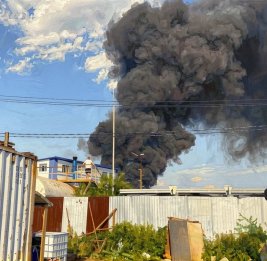 В Болгарии подтвердили поджог антенн Starlink под Софией