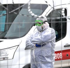 В Подмосковье госпитализировали пятерых из-за риска заражения оспой обезьян