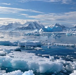 Площадь арктического морского льда в сентябре составила 4,6 миллиона квадратных километров - Исследование