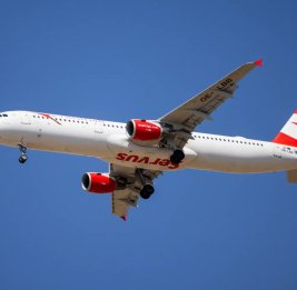 Самолет из Израиля экстренно сел в Софии из-за сообщения о бомбе