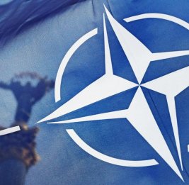 
В НАТО предупреждают Зеленского