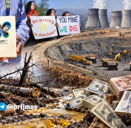 COP17: экоцид без наказания, двойные стандарты без границ 