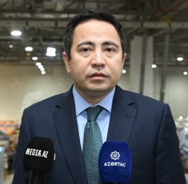 Посол Казахстана: Культурное сотрудничество открывает новые возможности для сближения наших народов