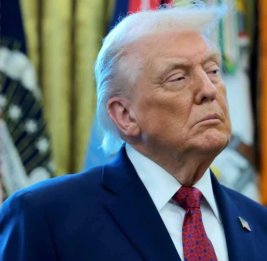 
Google отказал Трампу