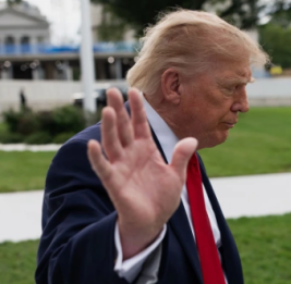 Трамп оскорбил журналистку