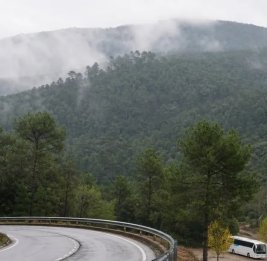 The Hindu: 83 человека пострадали в аварии автобуса под Барселоной 
