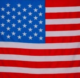 В США предложили создать 51-й штат