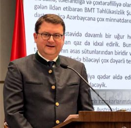 Посол: Австрия продолжит полностью поддерживать мирный процесс между Баку и Ереваном