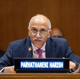 Нью-Дели выступает за комплексную реформу Совета Безопасности
