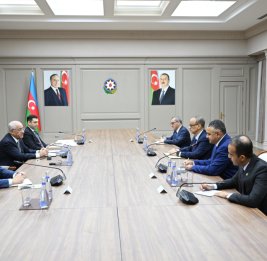 Премьер-министр Али Асадов встретился с генеральным секретарем ОИС