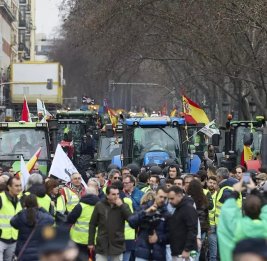
В Мадриде проходит акция протеста фермеров