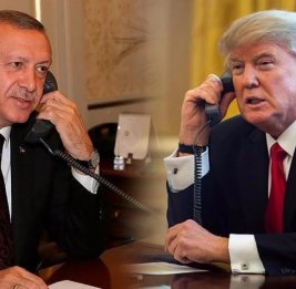 Эрдоган и Трамп обсудили Украину, Йемен и ситуацию в Ормузском проливе
