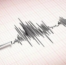Землетрясение магнитудой 5,5 произошло вблизи Токио
