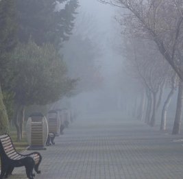 
Завтра в Баку и на Абшероне ожидается до 20 градусов тепла
