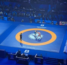 
Азербайджанский борец завоевал бронзовую медаль чемпионата мира
