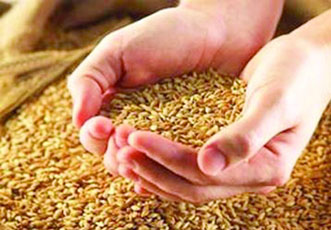 Потребительские рынки: от ближнего зарубежья - кдальнему