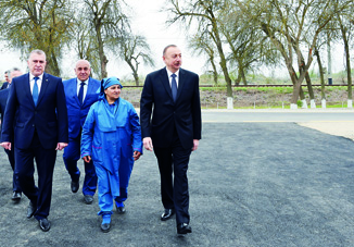 Президент Ильхам Алиев ознакомился с хлопковым участком на территории села Гыраглы Саатлинского района