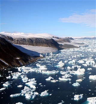 Северный Ледовитый океанначал зарастать водорослями