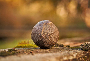 Историю каменного века продлилина 20 тысяч лет