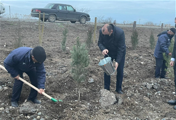 Широкомасштабная весенняя кампанияпо посадке деревьев по всей стране продолжается