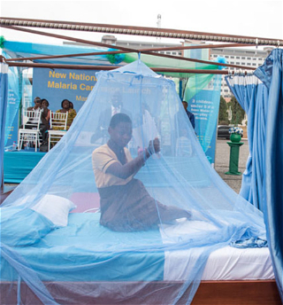 ВОЗ: «Малярия отступает,но этот процесс можно ускорить»