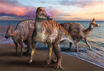 В Японии обнаружили новый вид утконосого динозавра