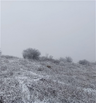 В освобожденной от оккупации Шуше выпал первый в этом году снег