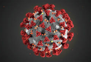 «Дельта» штамм коронавируса может самоликвидироваться