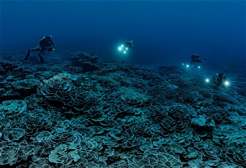 ЮНЕСКО: у берегов Таити обнаружен крупнейший коралловый риф