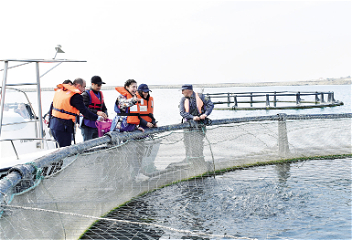 Богатые водоемы