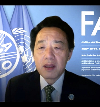 ФАО предлагает новые сценарии обеспечения глобальной продовольственной безопасности