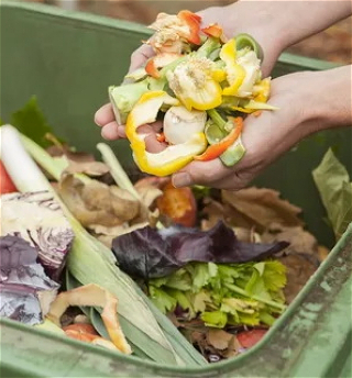 Испания примет закон, направленный на борьбу с пищевыми отходами