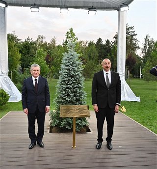 Президенты Азербайджана и Узбекистанапосадили дерево в Аллее почетных гостей
