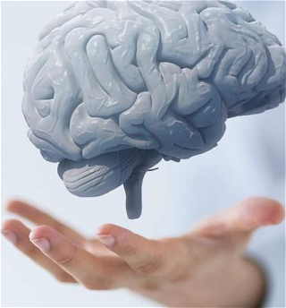 ВОЗ призвала расширить исследования в сфере оптимизации здоровья мозга