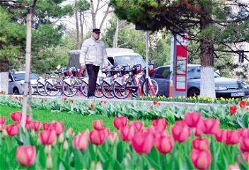Родина тюльпанов - Шымкент