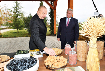 Президент Ильхам Алиев ознакомился с условиями,созданными в Агропарке «Шеки-Огуз»