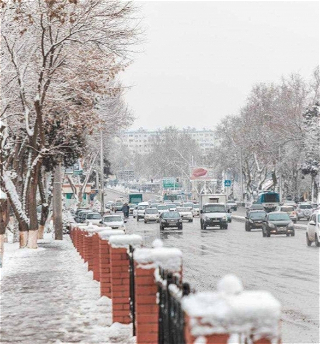 В Узбекистане ожидается аномально холодная погода