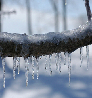 В Баку ночью будет 2-4° мороза