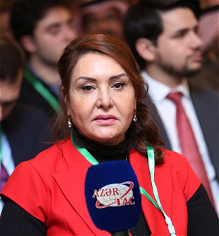 Сакина Бабаева: Для осуществления бизнеса в Карабахе представлено 343 проекта
