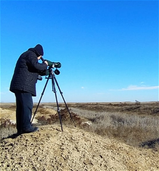 На территории страны проводится учет перелетных и оседлых птиц