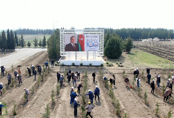 «Азерэнержи» проводит ряд мероприятий, посвященных 100-летию Гейдара Алиева