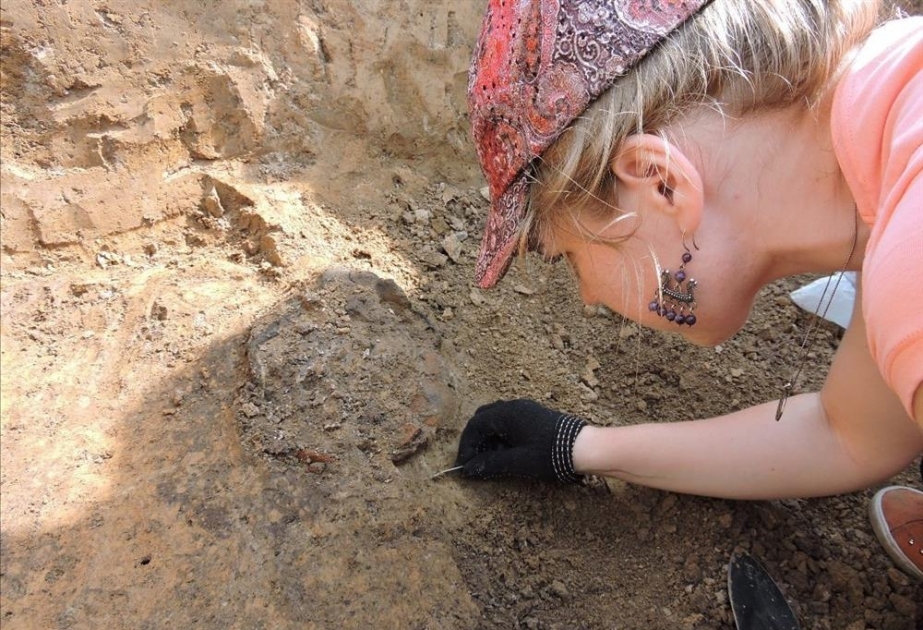 Голландские археологи нашли древнее святилище